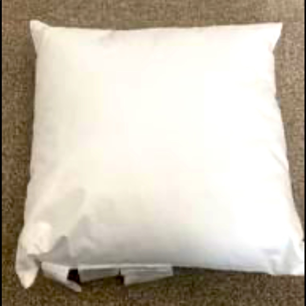 West Elm 16x16 pillow insert